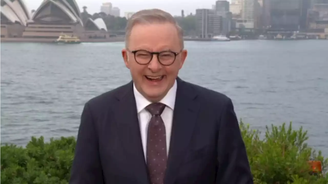 'Stay in your crease': Albo's wisecrack to British PM over Ashes saga