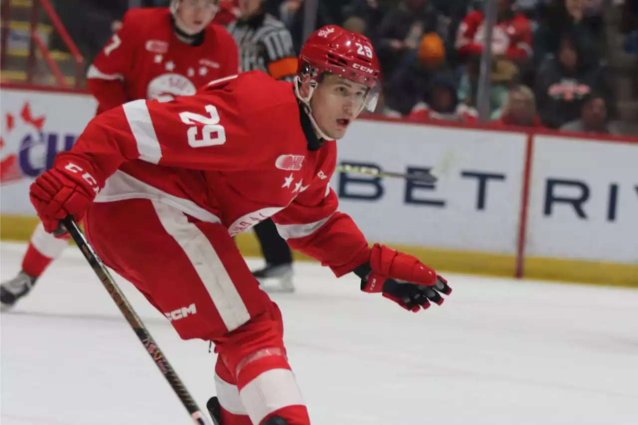 Options available for Greyhounds as import draft looms