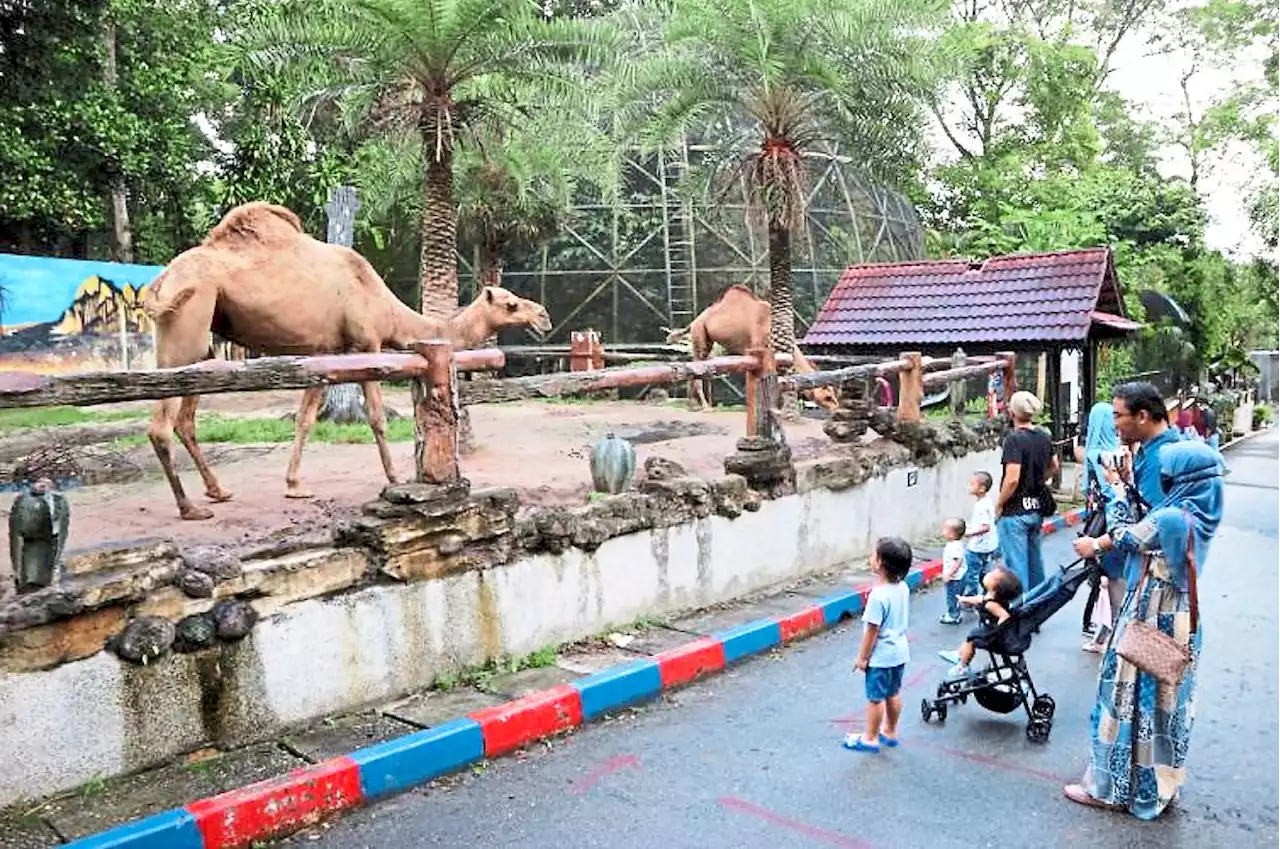 Oldest zoo in Malaysia to reopen