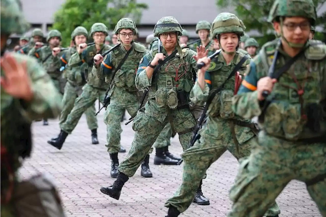 Strong support for NS, but do more to upskill national servicemen: IPS study