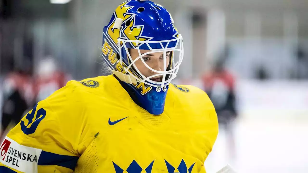 Ishockey: Emma Söderberg om amerikanska superligan: ”Framtiden är oviss”