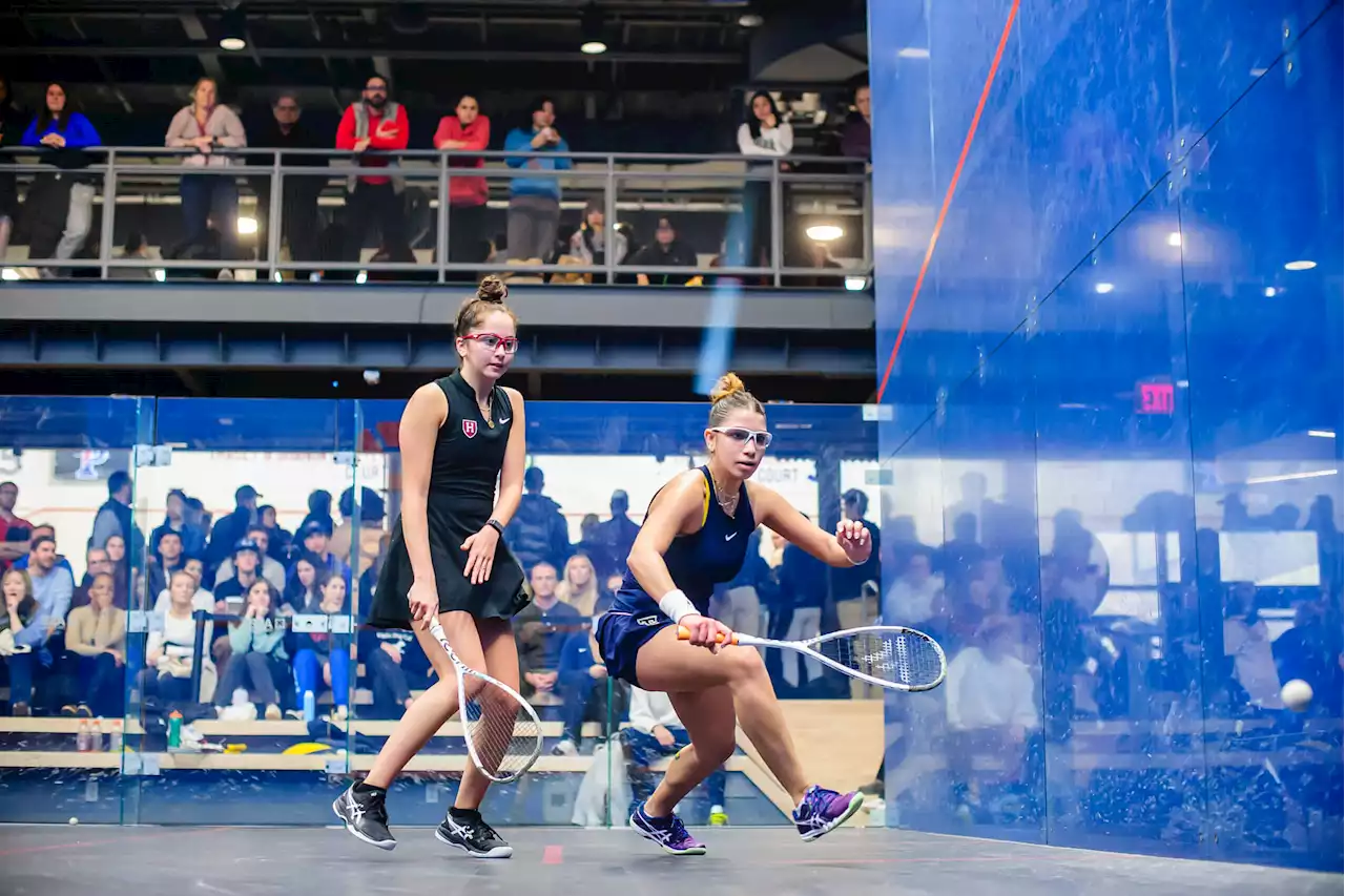 The origins of college squash's most storied rivalry