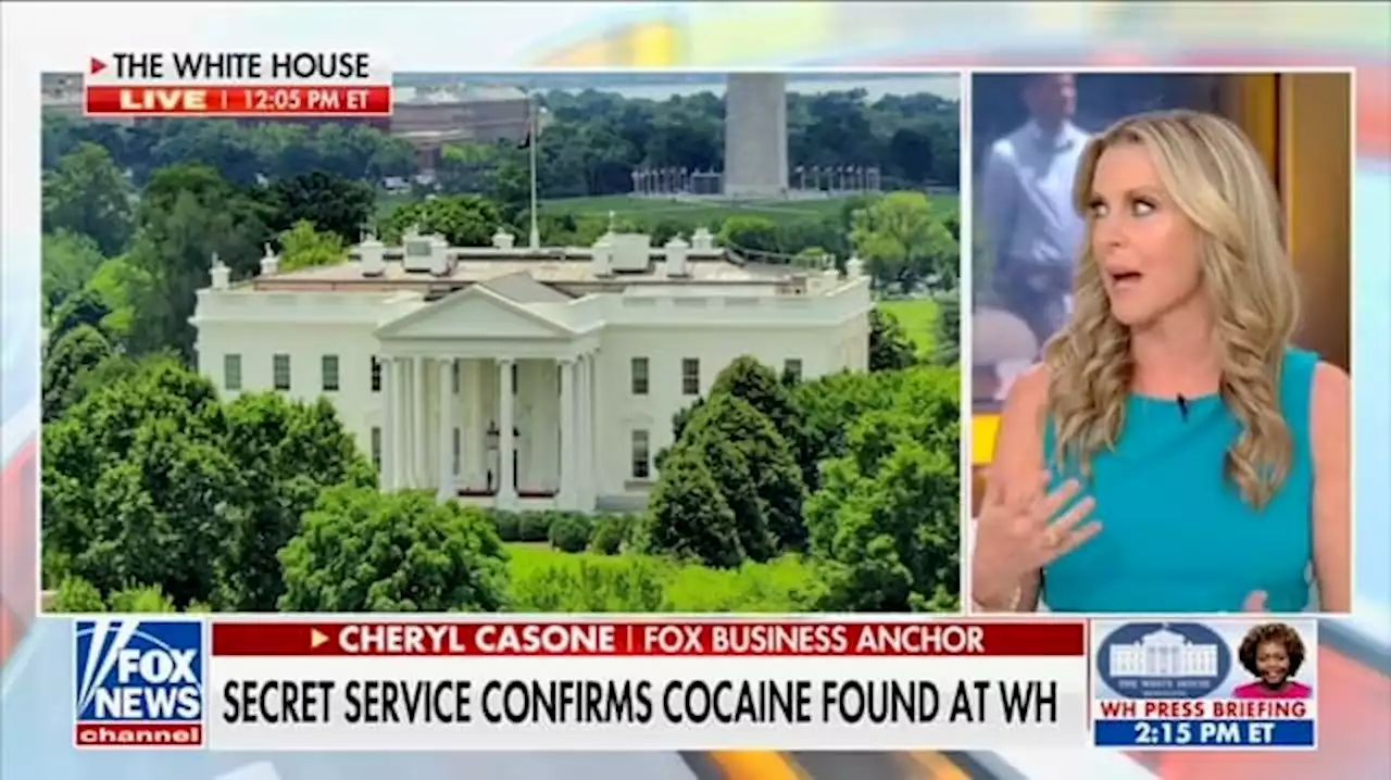 Fox Host Blasts ‘Tasteless’ Comments Linking Hunter to White House Cocaine