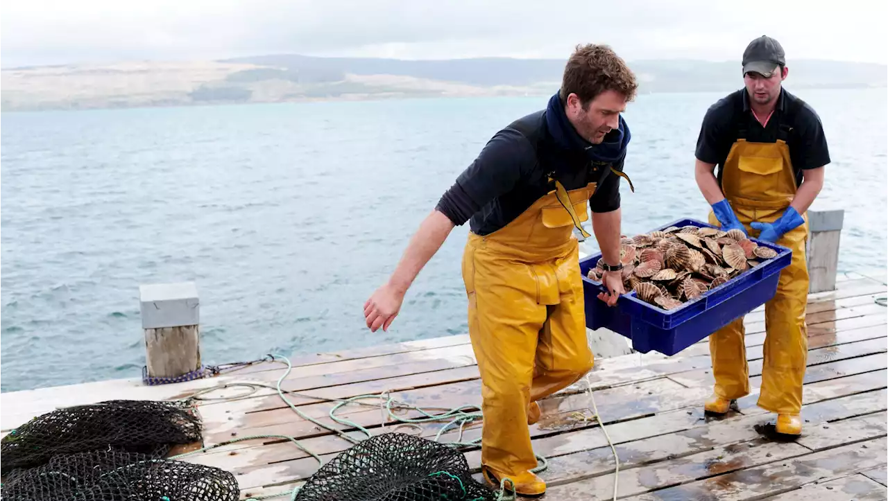 The UK can wave goodbye to scallops, lobster and crab if Orkney leaves for Norway