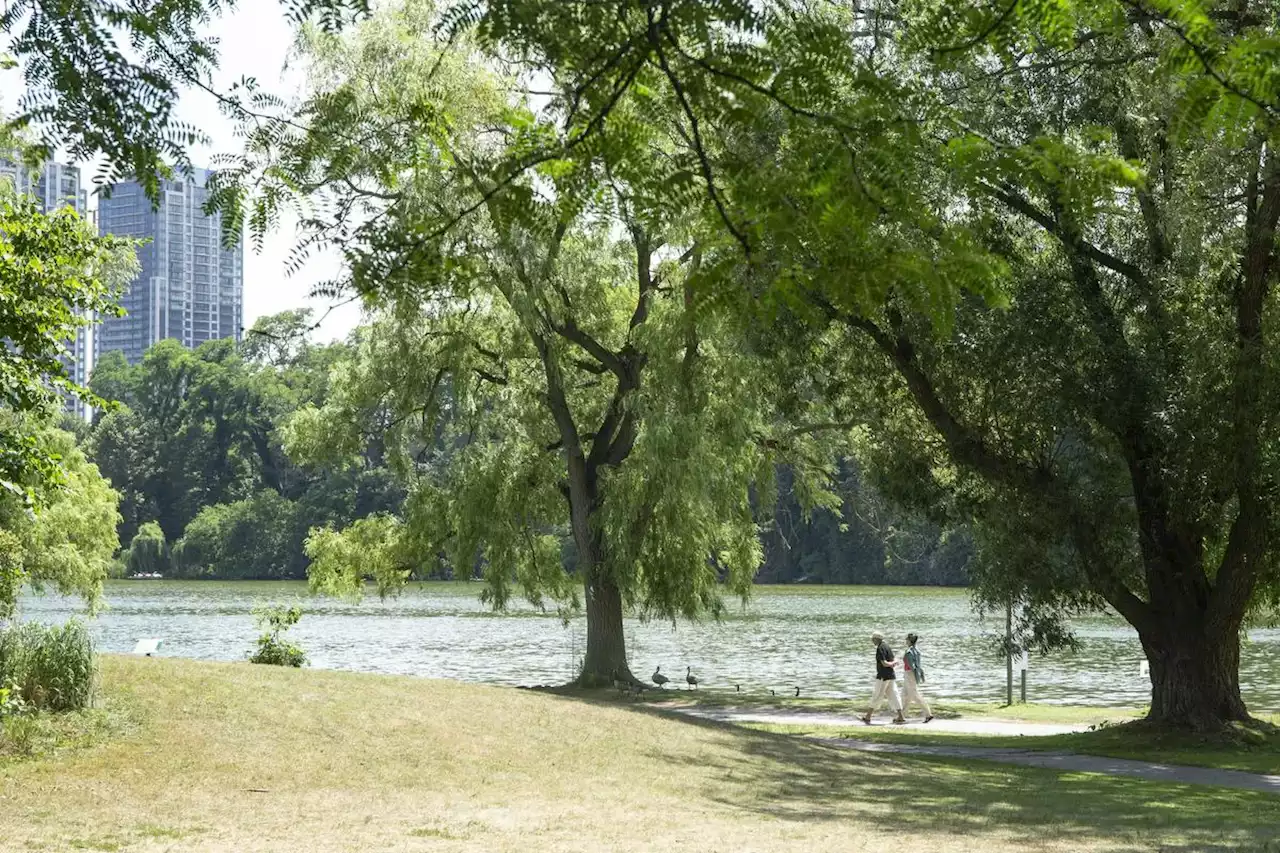 Opinion | What does Toronto have against people having fun in its public spaces?