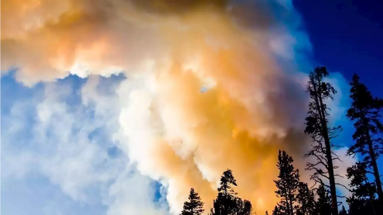 How wildfires have worsened in recent decades