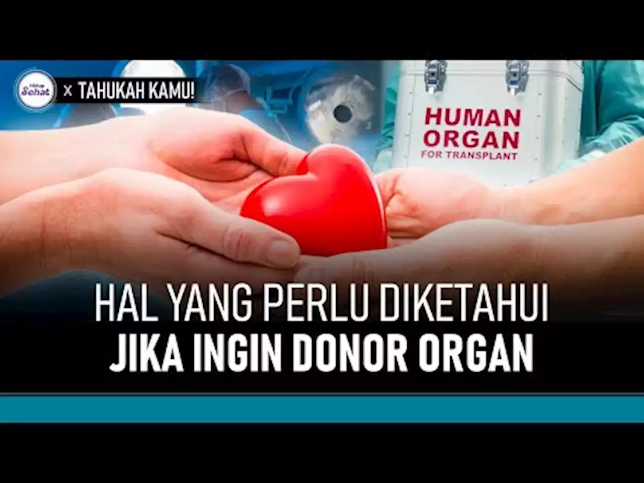 Hal-Hal Penting yang Harus Diketahui Jika Ingin Donor Organ - tvOne