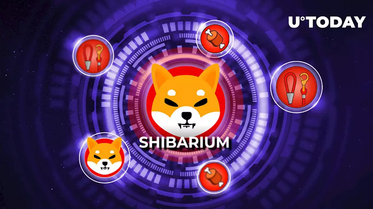 Shibarium to Go Way Beyond SHIB, LEASH and BONE: SHIB Team Marketing Expert