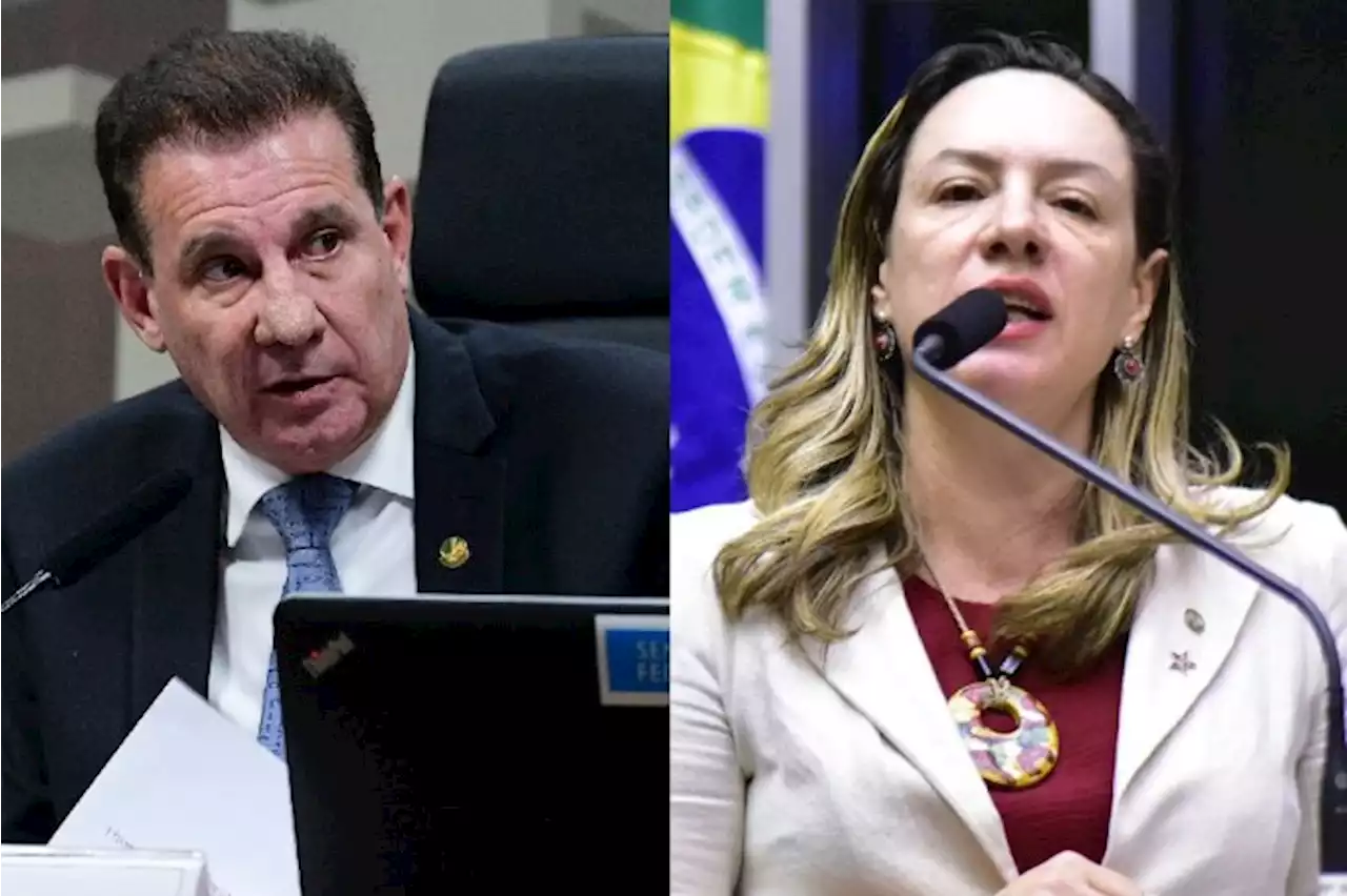 Senador e deputada têm empate técnico em disputa à prefeitura de Goiânia | Maquiavel