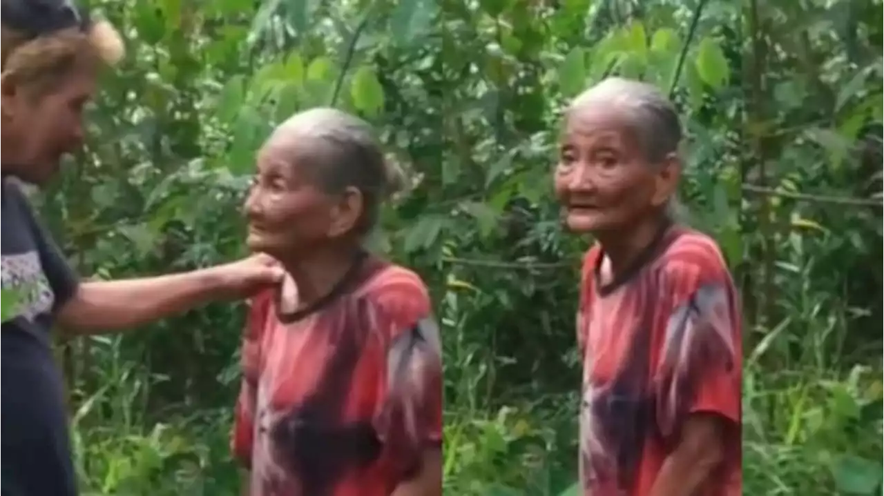 Viral Nenek 83 Tahun Dituduh Curi 20 Buah Kelapa, Begini Faktanya