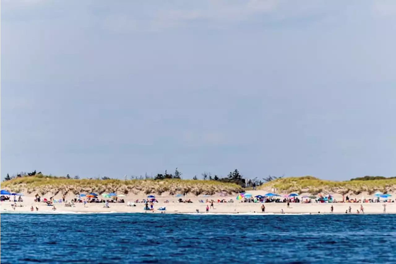 Possible shark attacks prompt heightened patrols at New York’s Long Island beaches