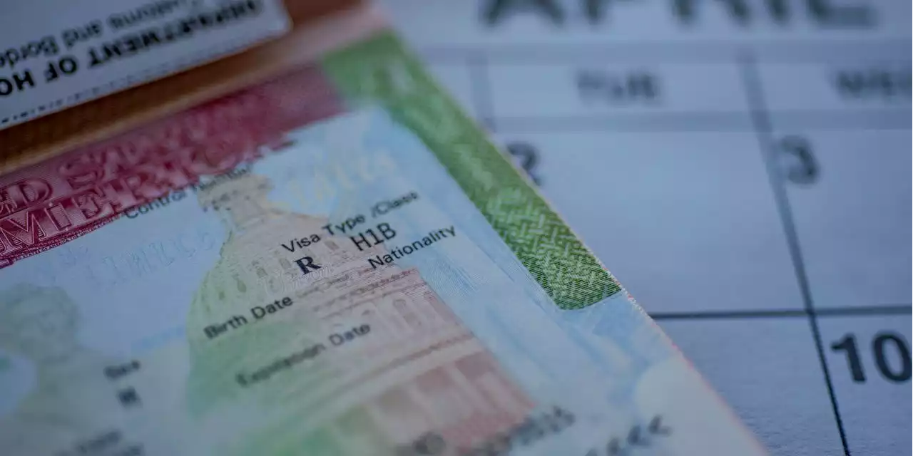 Opinion | Canada Is Coming for H-1B Visa Holders