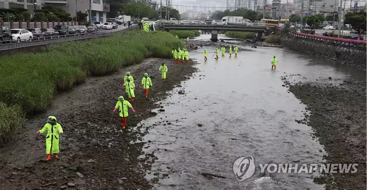 '유령 영아' 눈덩이…400건 수사, 15명 사망 확인(종합) | 연합뉴스