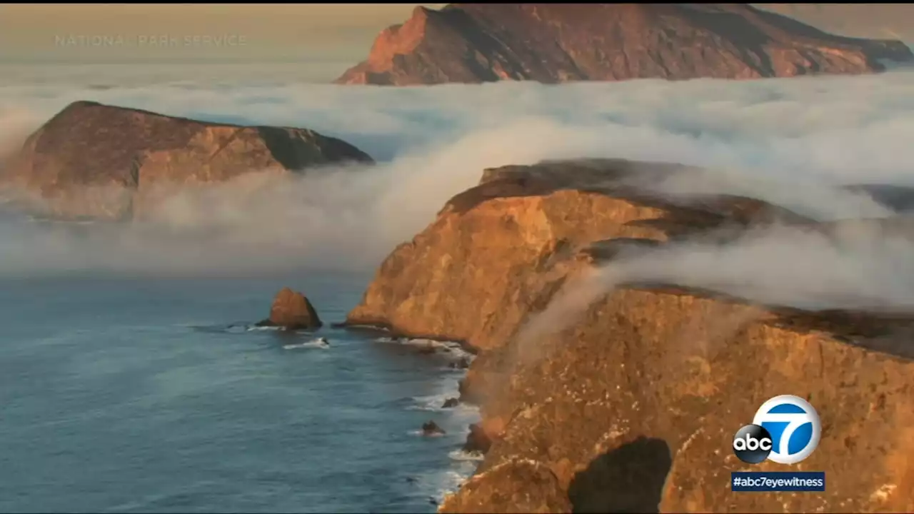 Channel Islands, closest national park to LA, has plenty of nature ready to be explored