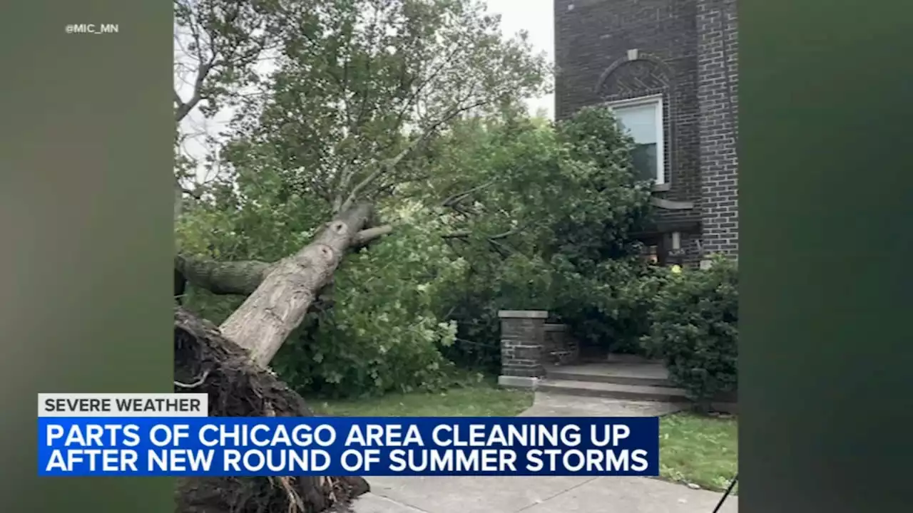 Chicago area cleaning up after strong storms bring flooding, downed trees