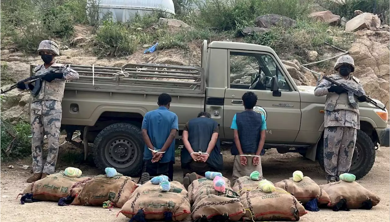 جريدة الرياض | القبض على (3) مخالفين لنظام أمن الحدود لتهريبهم نبات القات المخدر