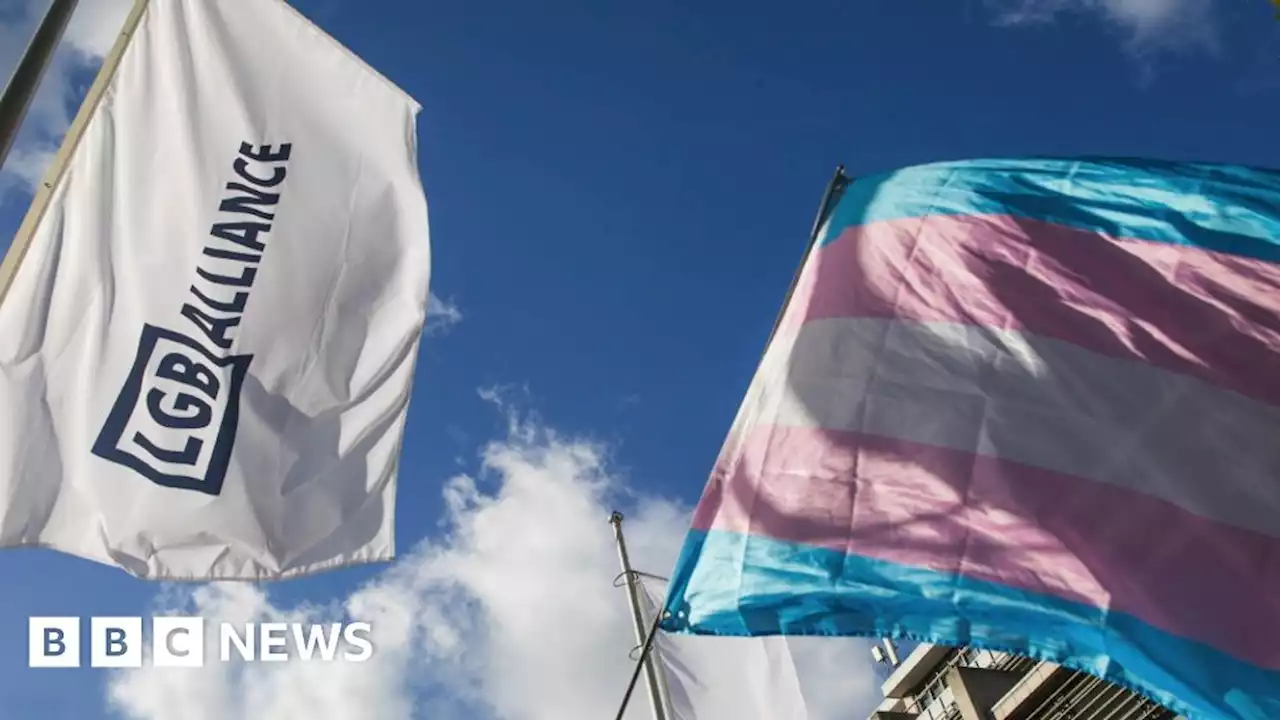 Trans charity Mermaids loses challenge against LGB Alliance