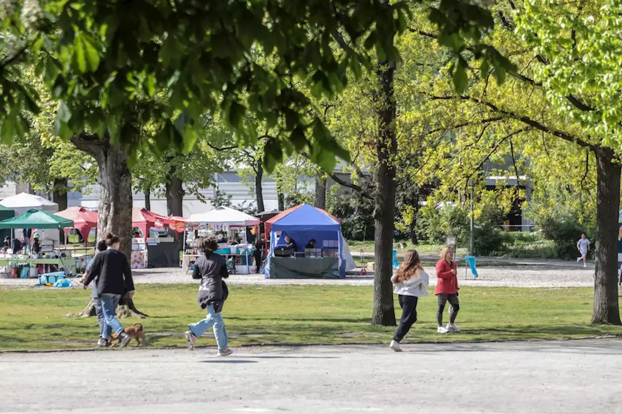 Preußenpark in Berlin-Wilmersdorf: Mann attackiert Polizisten mit Hammer