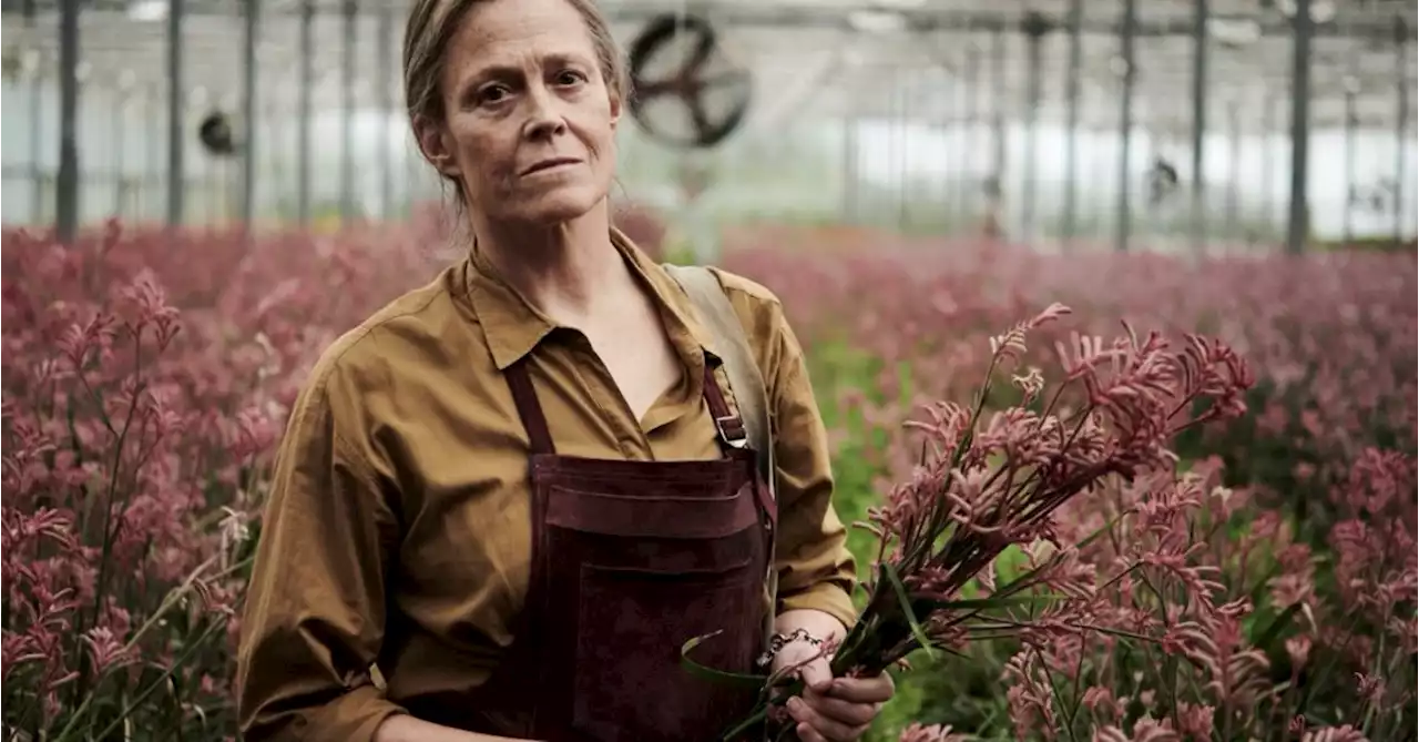 The Lost Flowers of Alice Hart Trailer Gets Prime Video Release