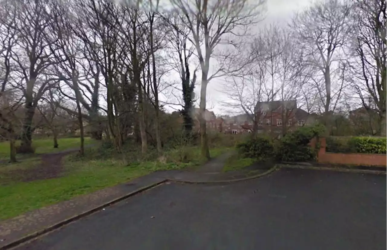 Police appeal after Leyland pensioner slashed with knife