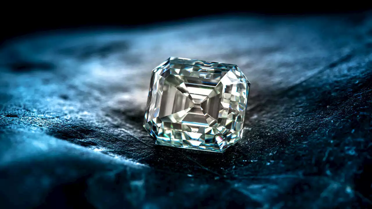 Die Dividenden-Diamanten von Morningstar: Diese Aktien sind ein Schnäppchen