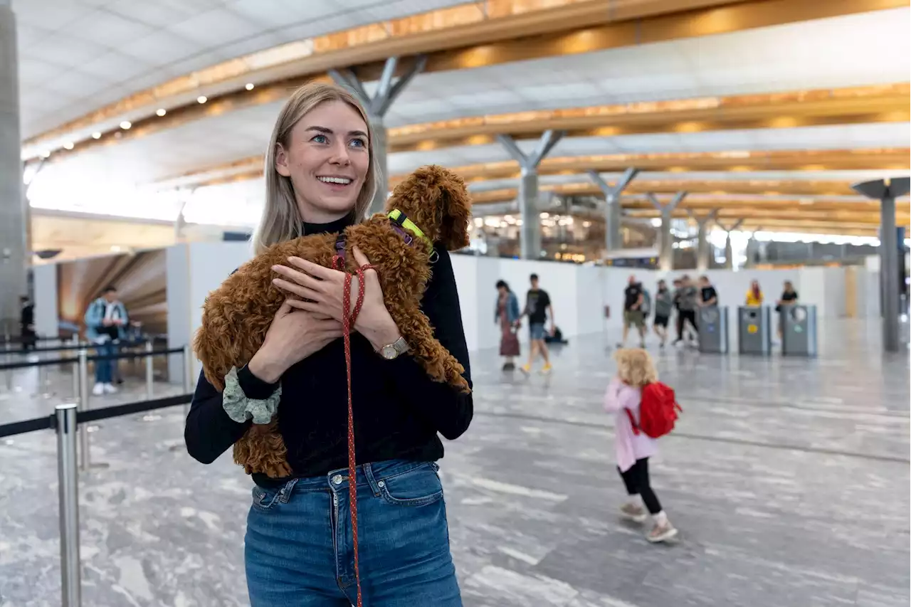 – Dette er den eneste måten jeg kommer meg hjem på