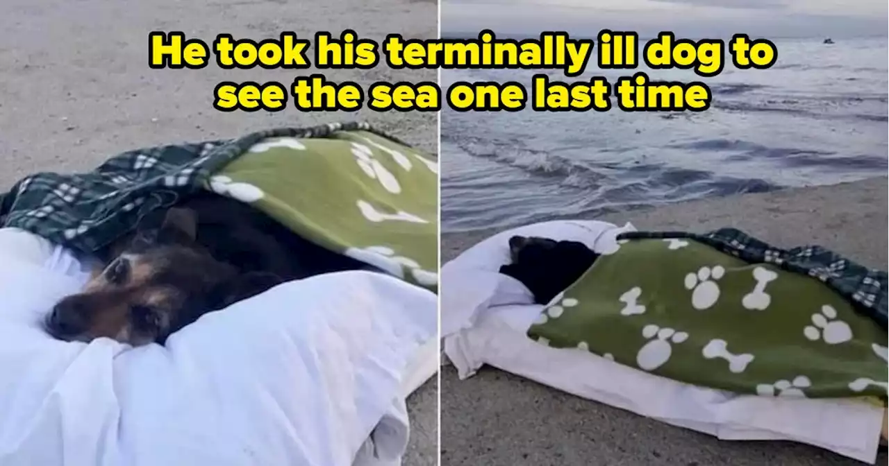 25 Photos That Will Simply Restore Your Faith In Humanity