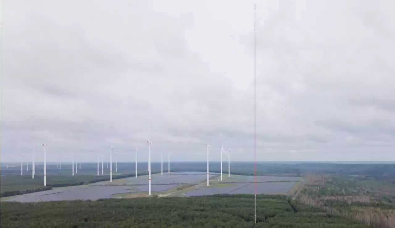 Männer klettern für Selfies auf 300-Meter-Windmess-Turm