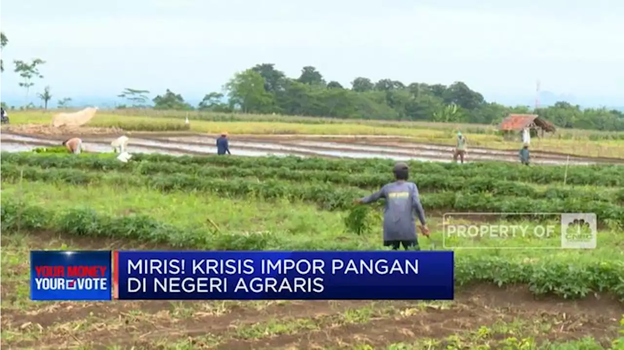 Miris! Krisis Impor Pangan di Negeri Agraris