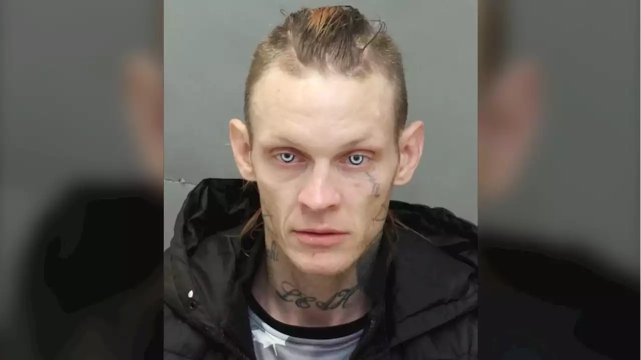 Man wanted by police after allegedly stealing from Toronto condo storage unit