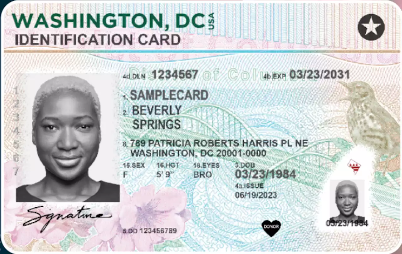 D.C. Revamps Driver's License Design