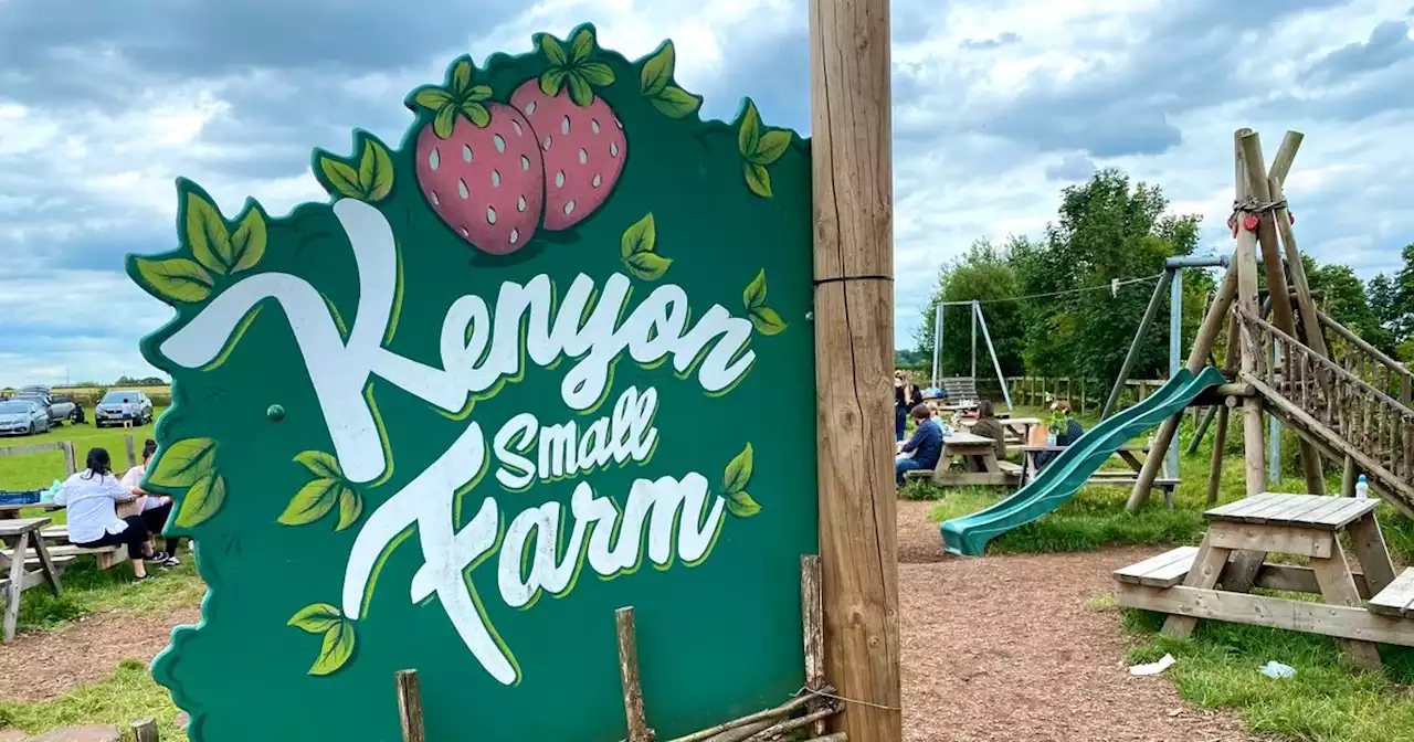 Keyon Hall Farm inviting children to hands-on days out