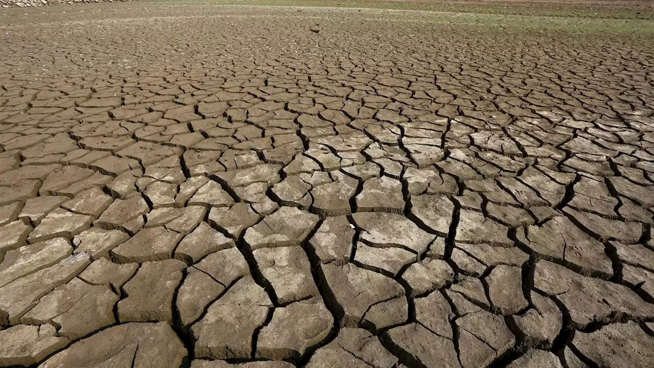 Temperatura média da Terra voltou a bater recorde na quarta