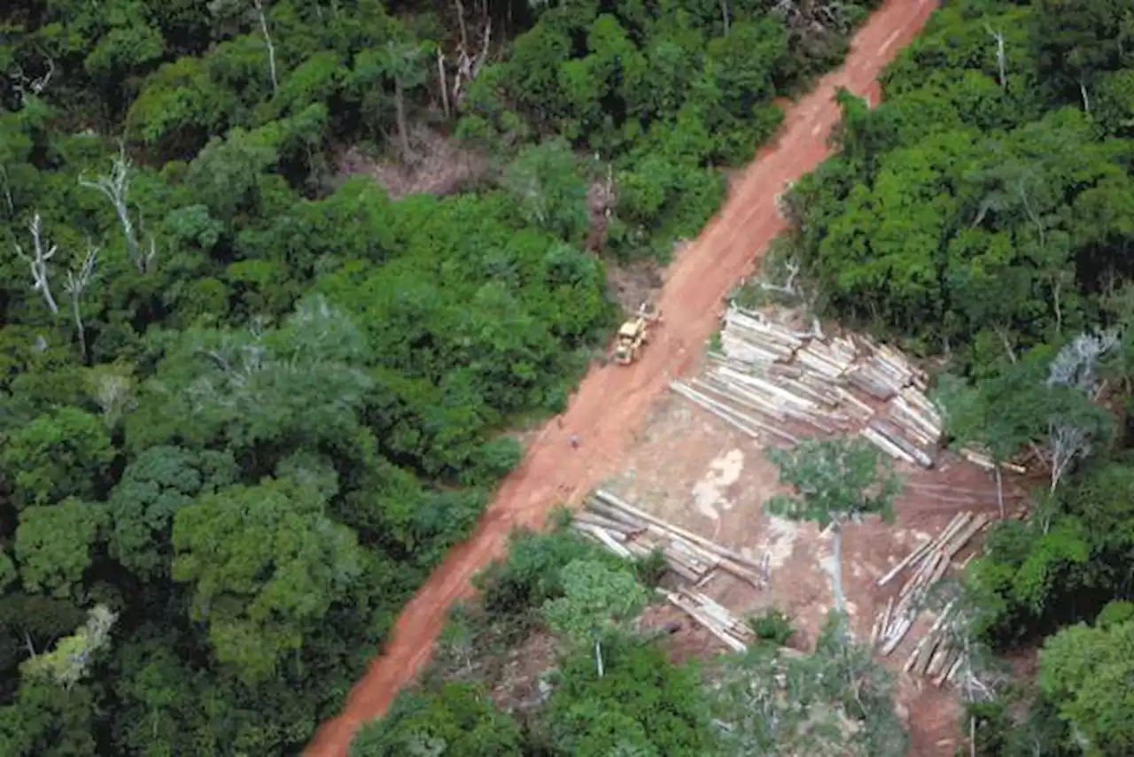 Arranca la cumbre para evitar el colapso de la Amazonia