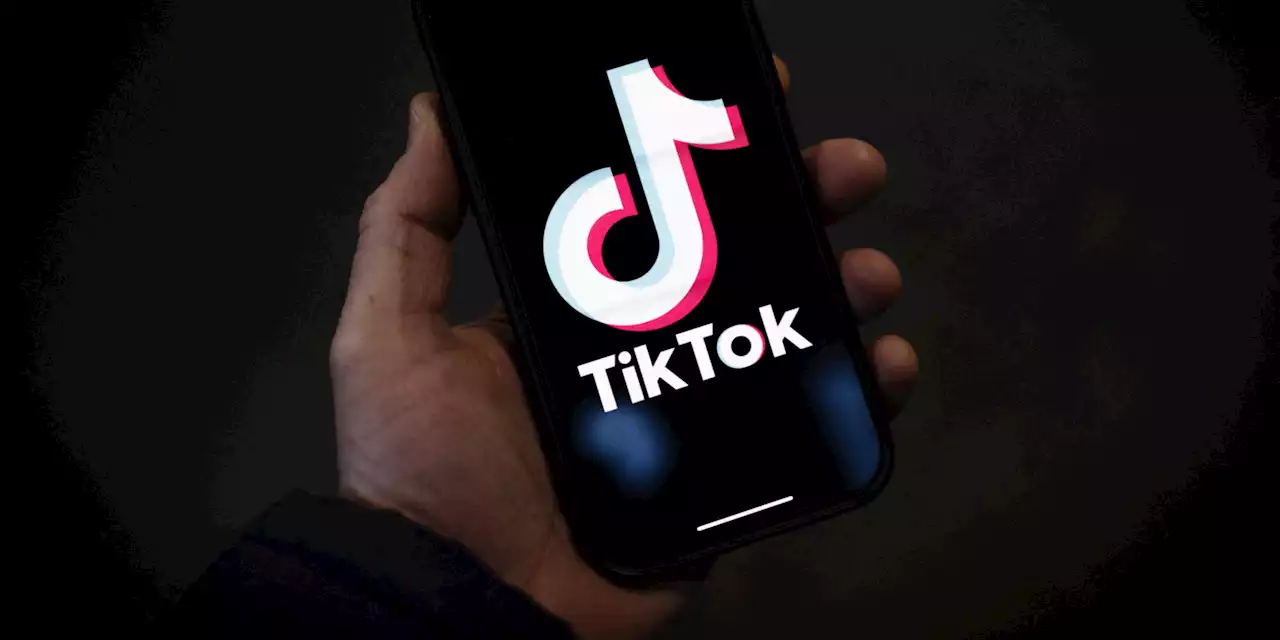 TikTok : la commission d'enquête du Sénat rend ses conclusions