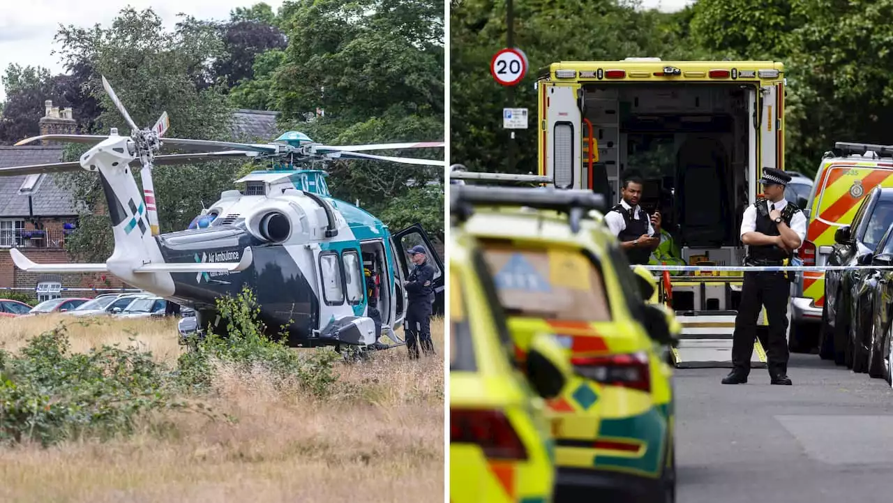 Bil körde in i skola – en flicka död i London