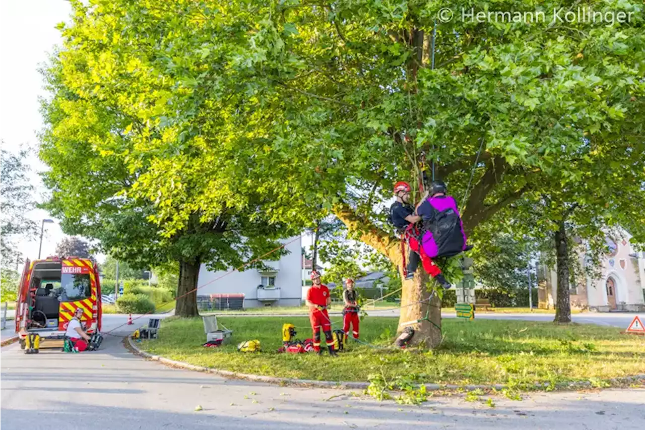 Oö: Höhenretter üben Rettung eines Paragleiters aus Baum