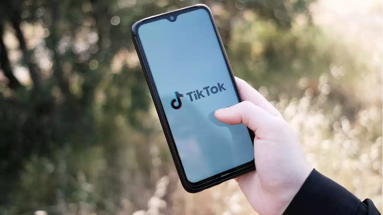 Une commission d'enquête du Sénat pose un ultimatum à TikTok en France