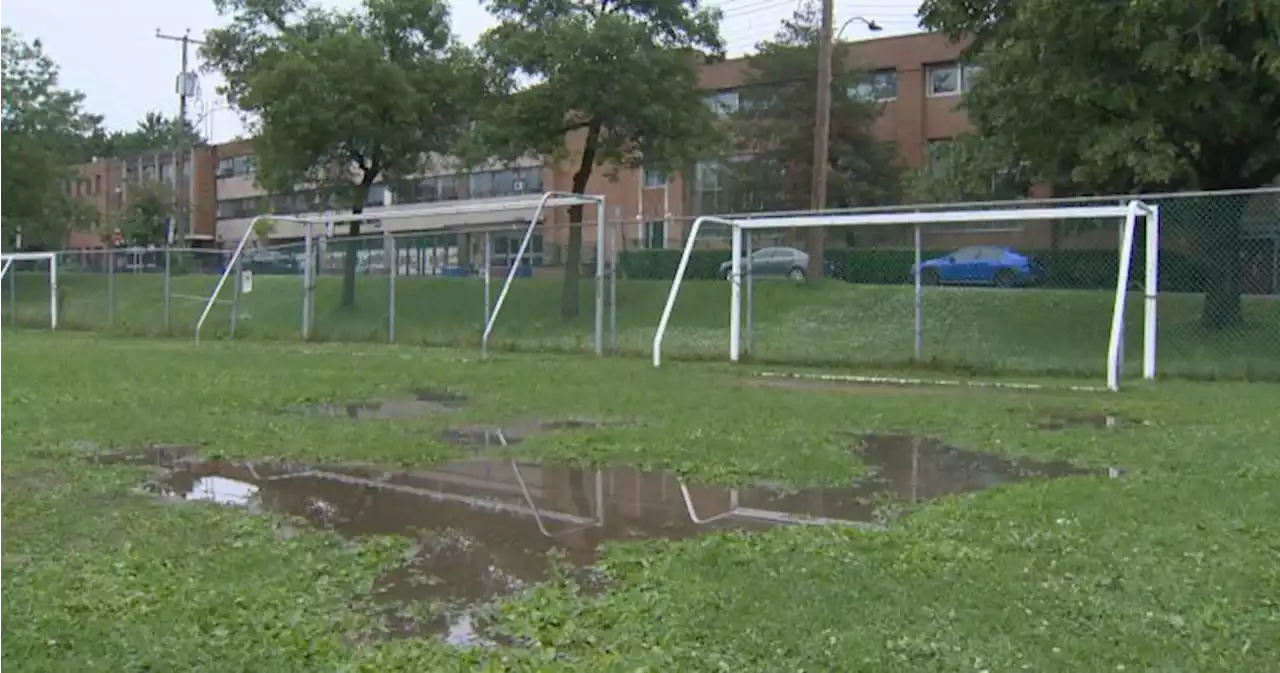 Synthetic soccer field gets the go ahead. Montreal public health now reviewing potential risks | Globalnews.ca