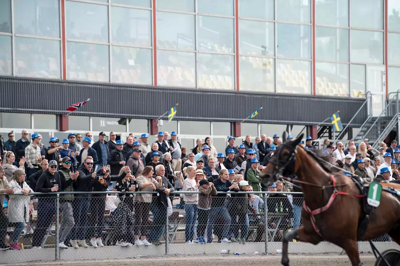 Här vimlar kändisarna på travet: ”Fantastiskt roligt”