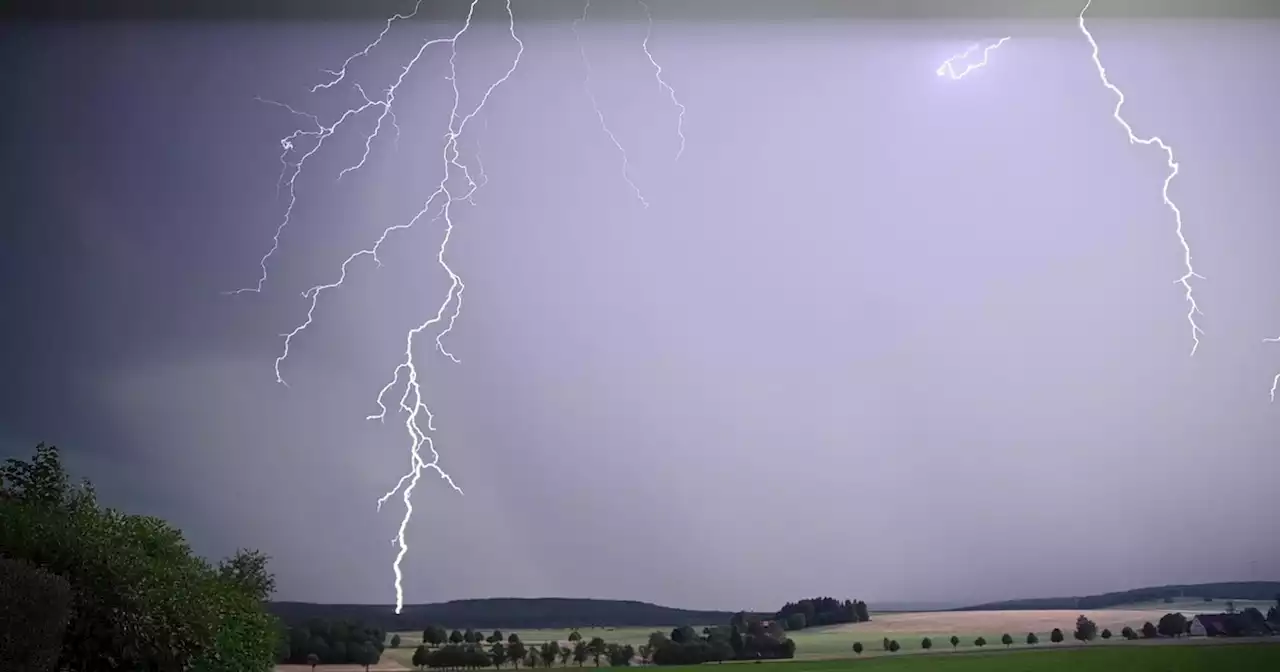 Blitzeinschlag tötet acht Kühe in Geiersthal - idowa