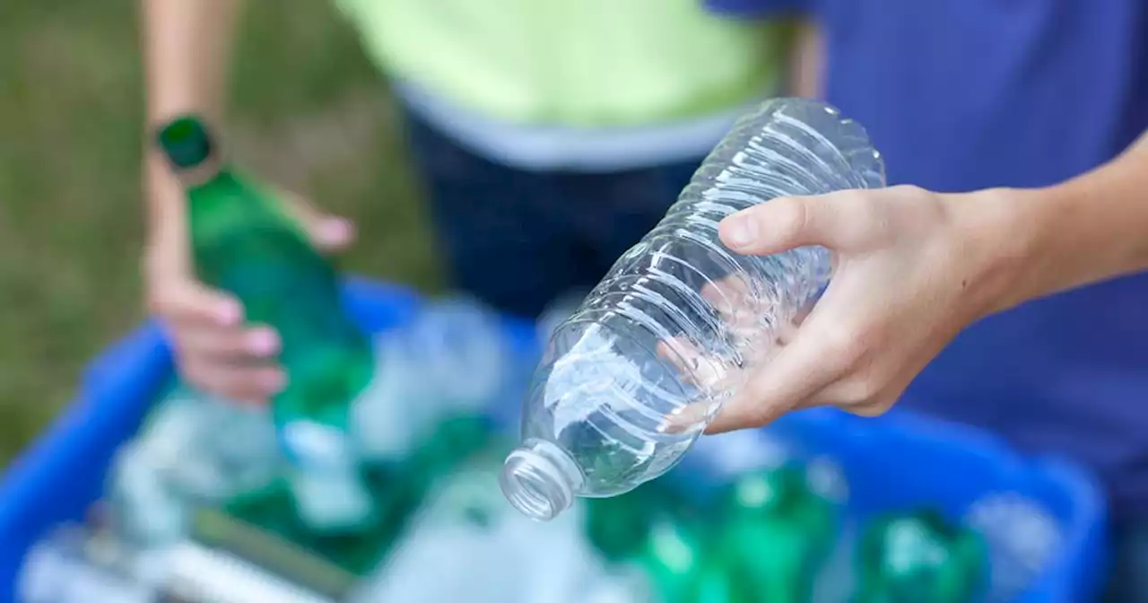 Ireland to miss EU plastic recycling targets, says recycling body Repak
