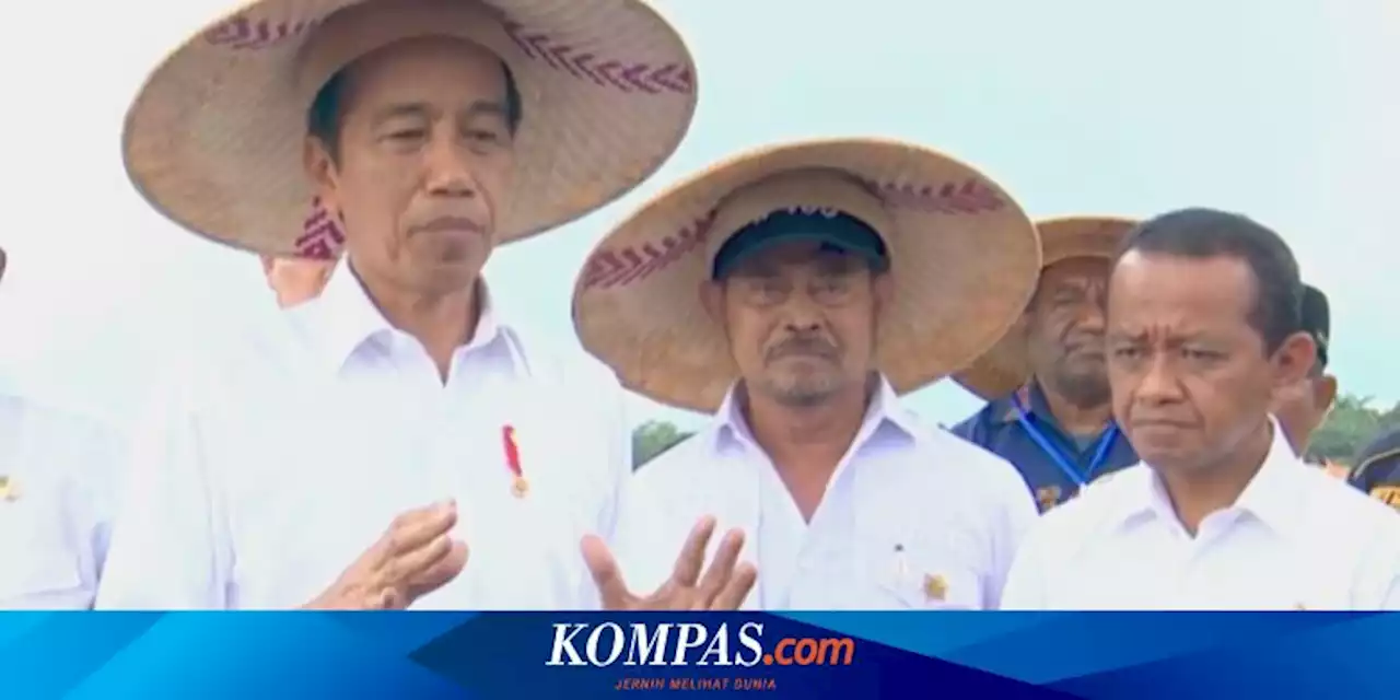 Tinjau 'Food Estate' di Kabupaten Keerom, Papua, Jokowi Berikan Evaluasi