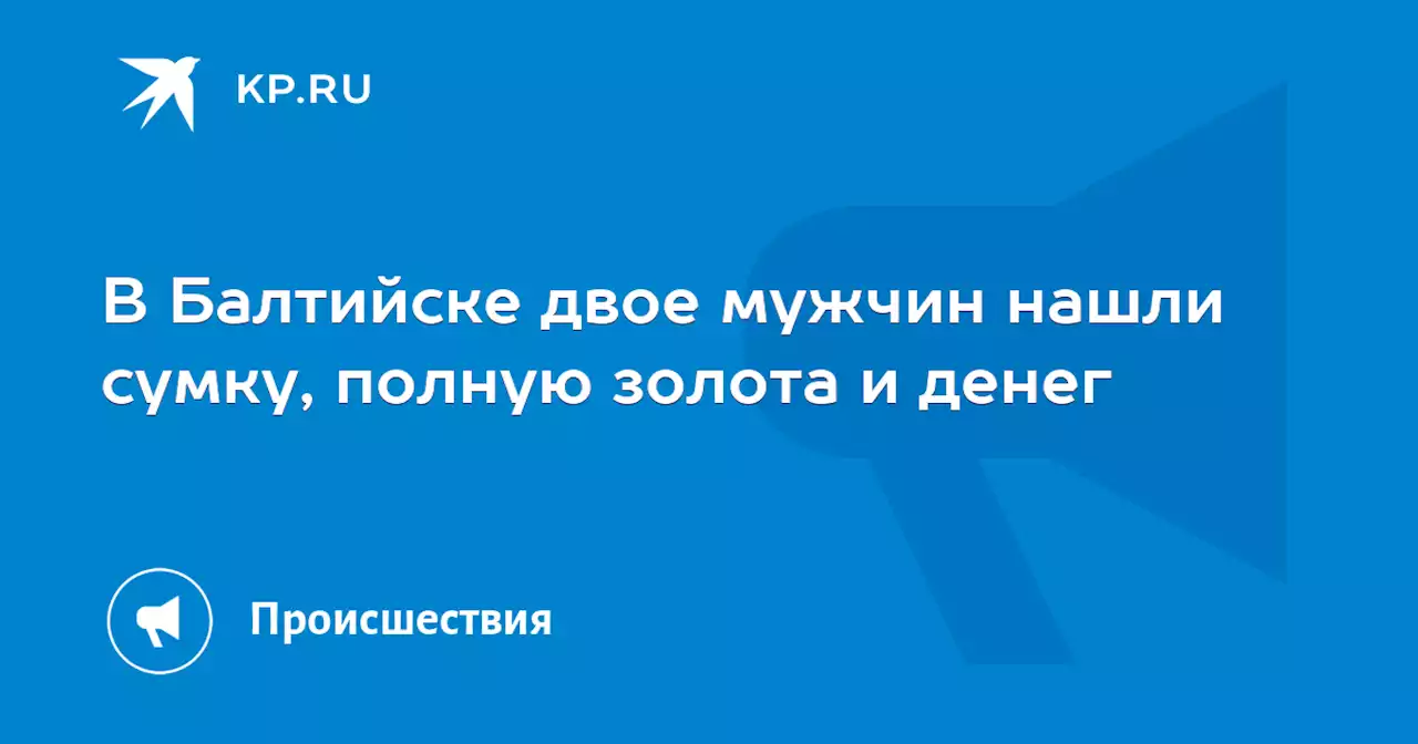 В Балтийске двое мужчин нашли сумку, полную золота и денег