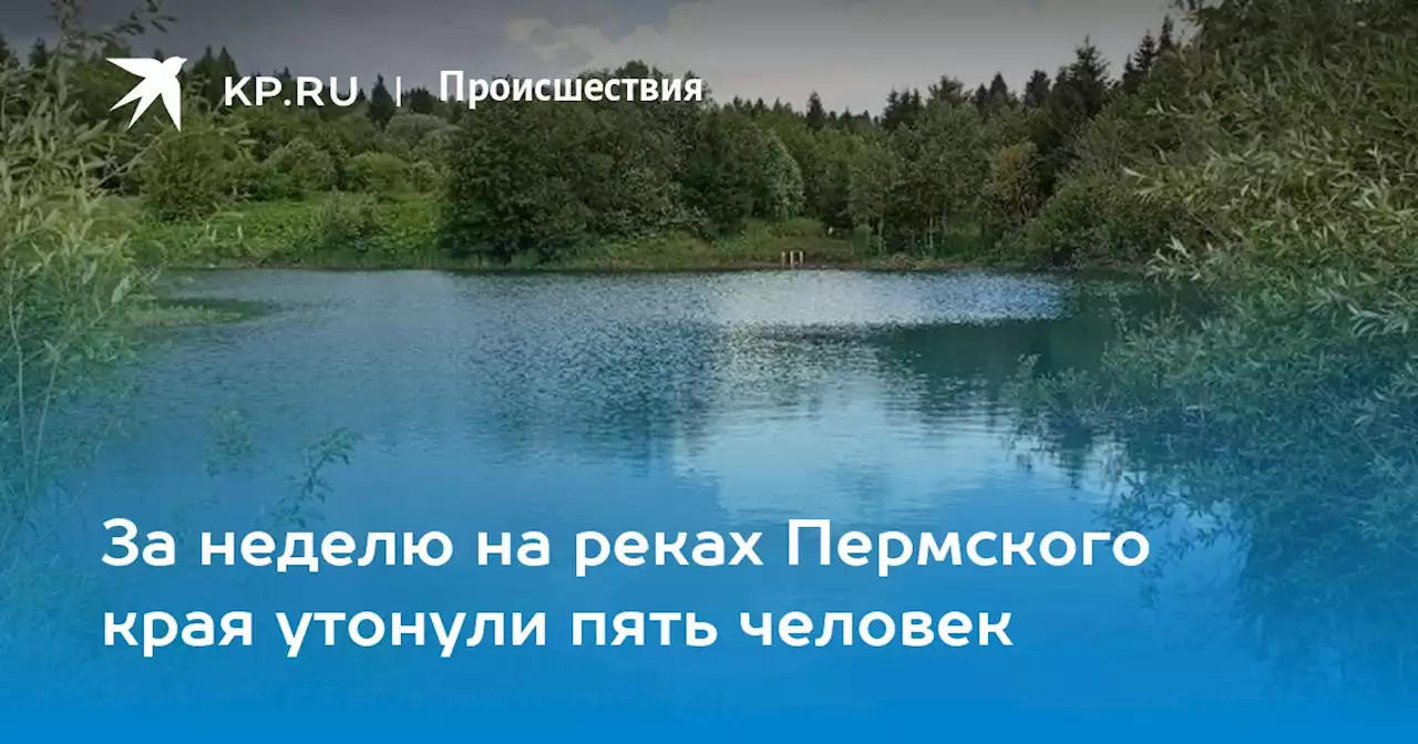 За неделю на реках Пермского края утонули пять человек