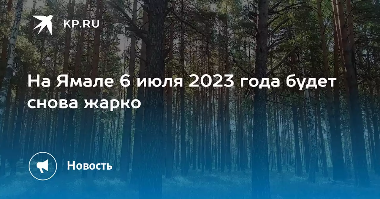 На Ямале 6 июля 2023 года будет снова жарко