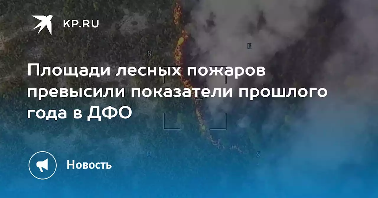 Площади лесных пожаров превысили показатели прошлого года в ДФО