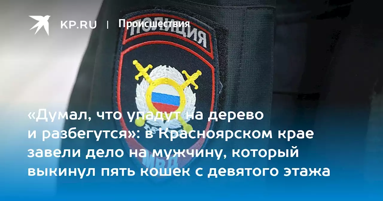 «Думал, что упадут на дерево и разбегутся»: в Красноярском крае завели дело на мужчину, который выкинул пять кошек с девятого этажа