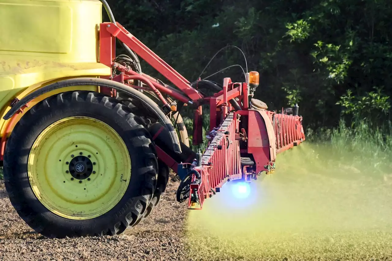 Glyphosate : pas besoin de l’interdire, selon les experts européens