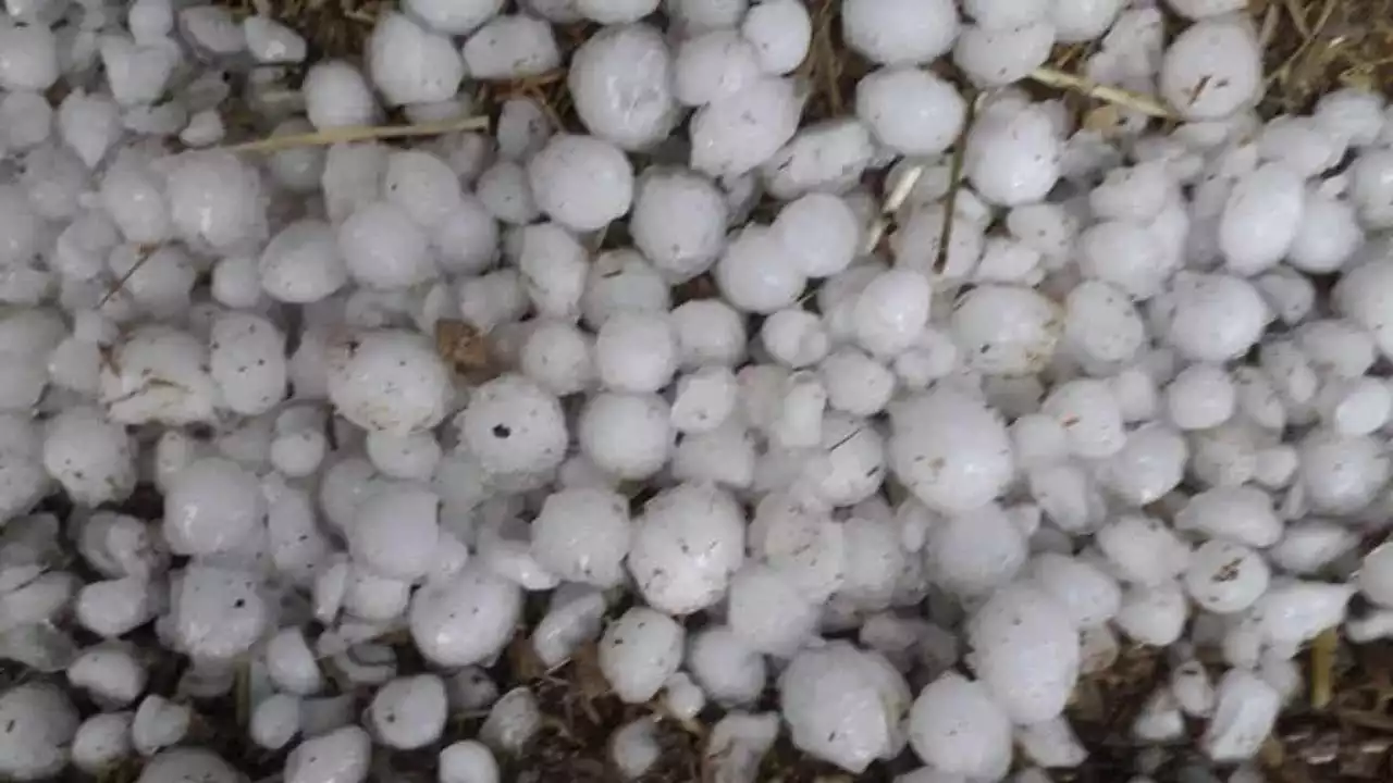 Grandine: distrutti i raccolti nel Torinese e nelle Langhe - La Stampa